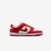 Кроссовки Nike W Dunk Low 