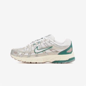 Кросівки Nike P-6000 "Light Bone Bicoastal" HF4308-072