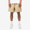 Шорти чоловічі Nike Club Flow Shorts 