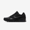 Кросівки Nike Air Max Ivo LTR 